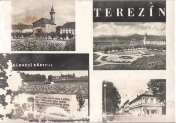 Terezín xxxx 95 001 ●